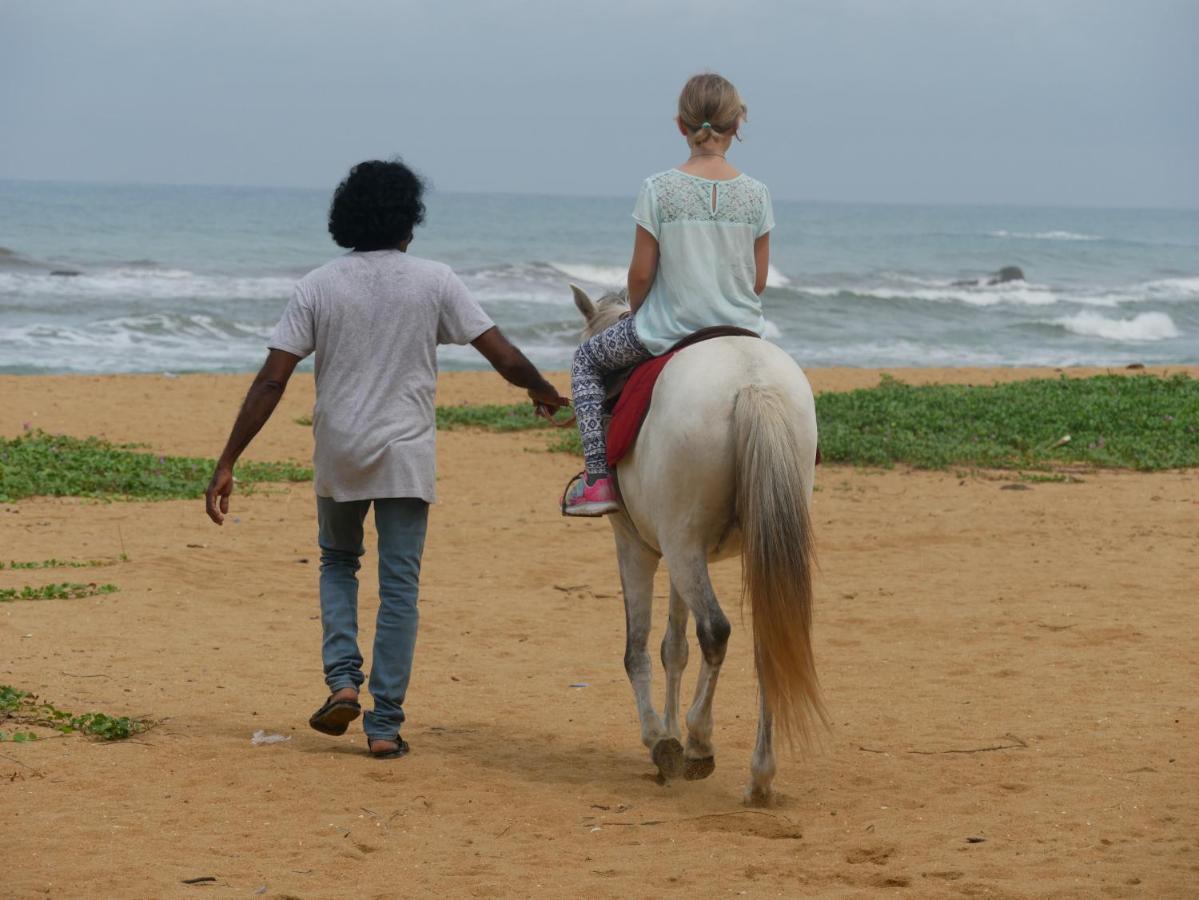 Mbeach Nest Panadura Kültér fotó