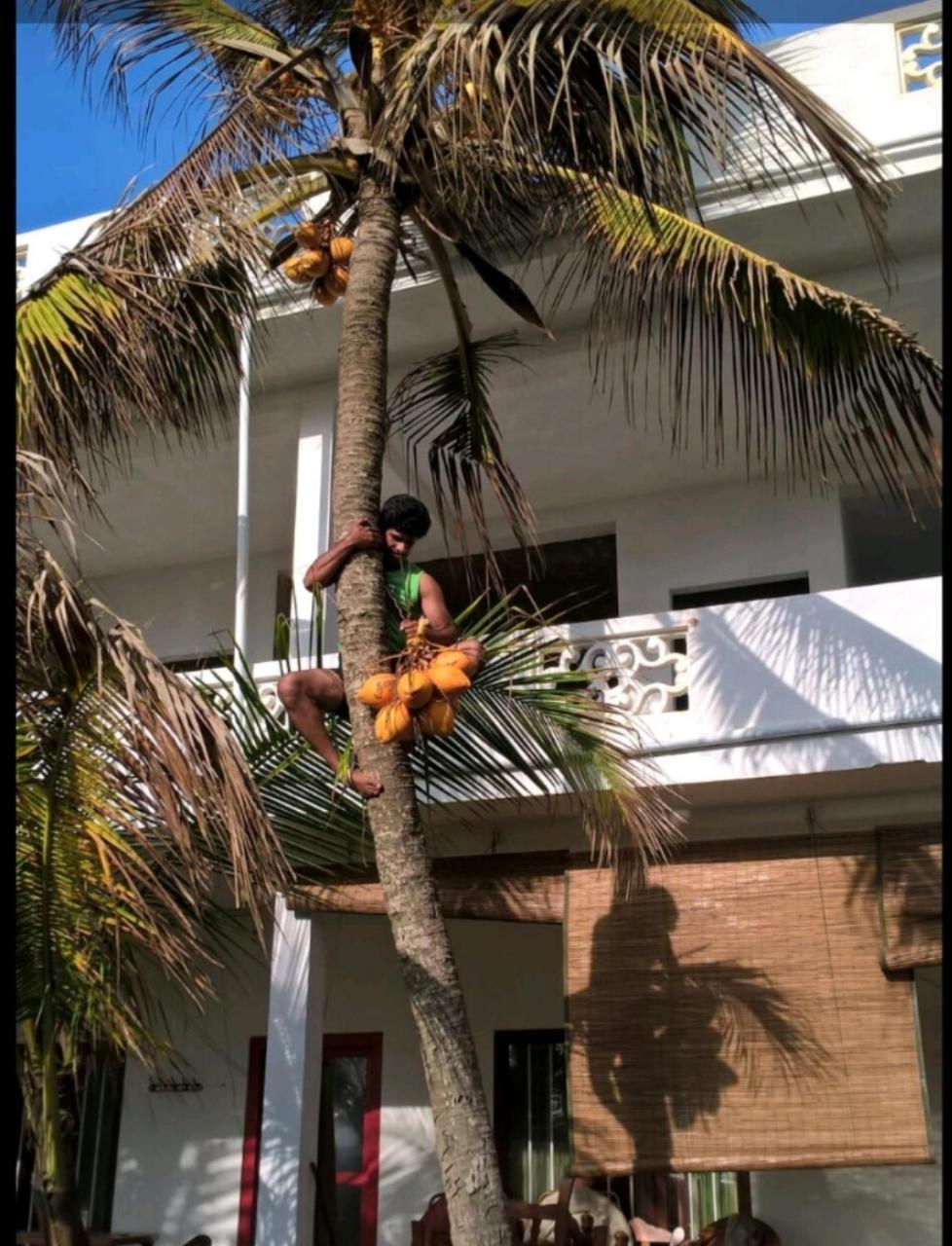 Mbeach Nest Panadura Kültér fotó
